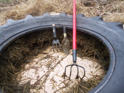 Build a Hotbox for Cool-Weather Gardening Image